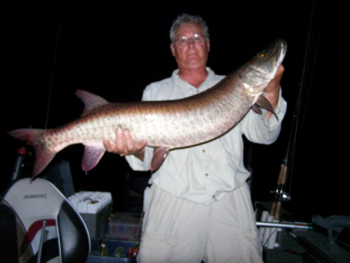 Muskie Bay Resort Nestor Falls Bagian luar foto