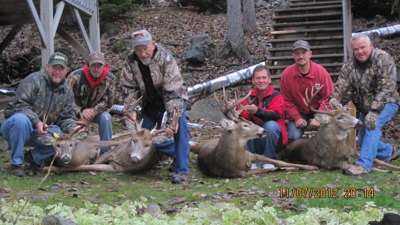 Muskie Bay Resort Nestor Falls Bagian luar foto